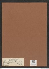 Ceratoneis arcus (Ehr.) Kuetz. (de-Toni-Nr.: Genus 107, Species 3270) Zeichnungen Sammlung Grunow Mappe 03492 (Herbarium_W_Grunow_drawings_Folder_03492)
